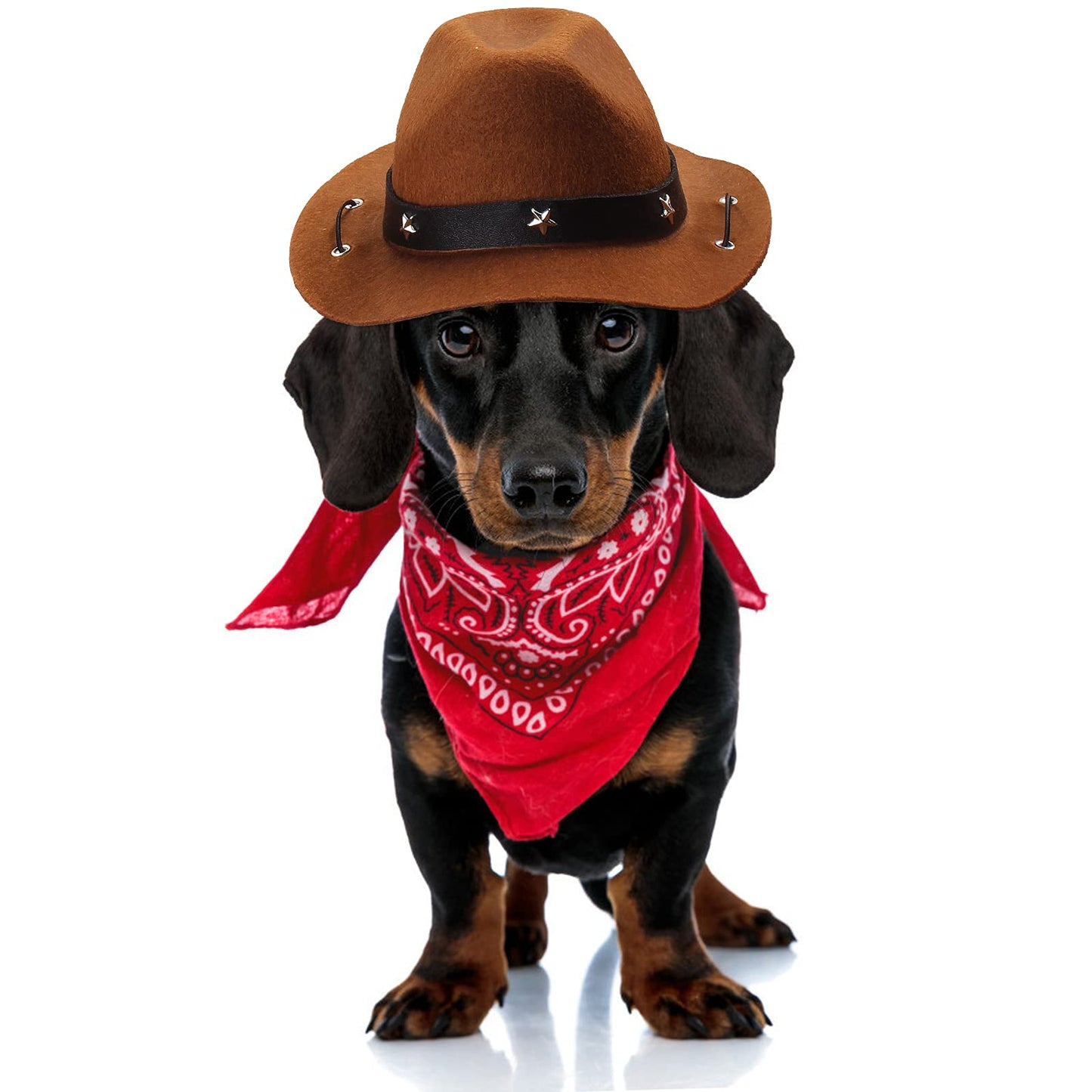 Durable and Lightweight Printed Head Bandana Cowboy Outfit for Dogs