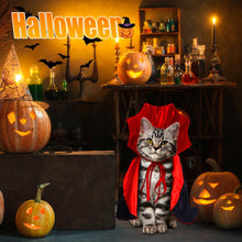 Halloween Pet Cape Costume – Vampire/Wizard/Witch Outfit