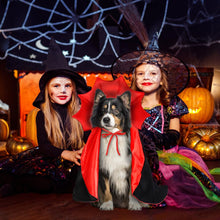 Halloween Pet Cape Costume – Vampire/Wizard/Witch Outfit