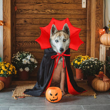 Halloween Pet Cape Costume – Vampire/Wizard/Witch Outfit