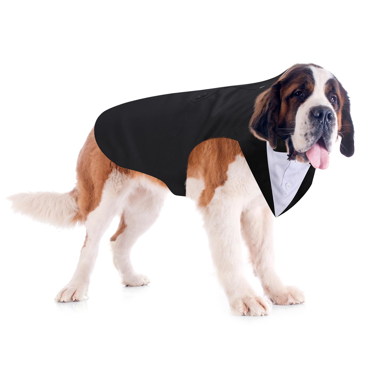 Top Quality Formal Dog Tuxedo Outfit for Weddings with Bandana