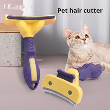 Teddy Golden Retriever Hair Removal Comb