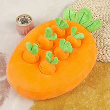 Carrot Pulling Plush Pet Toy