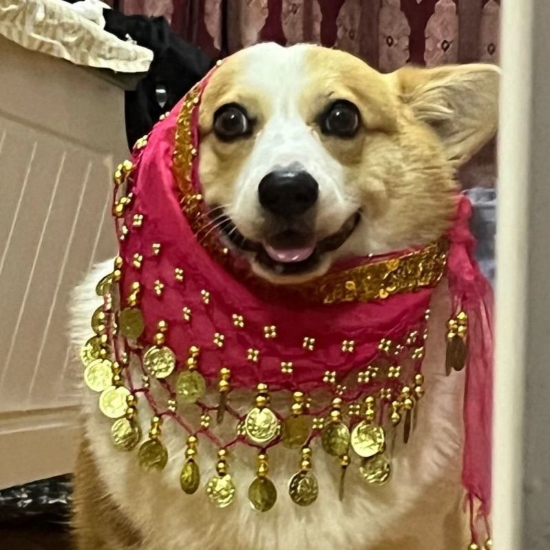Belly Dance Fart Chain Sequined Waist Chain