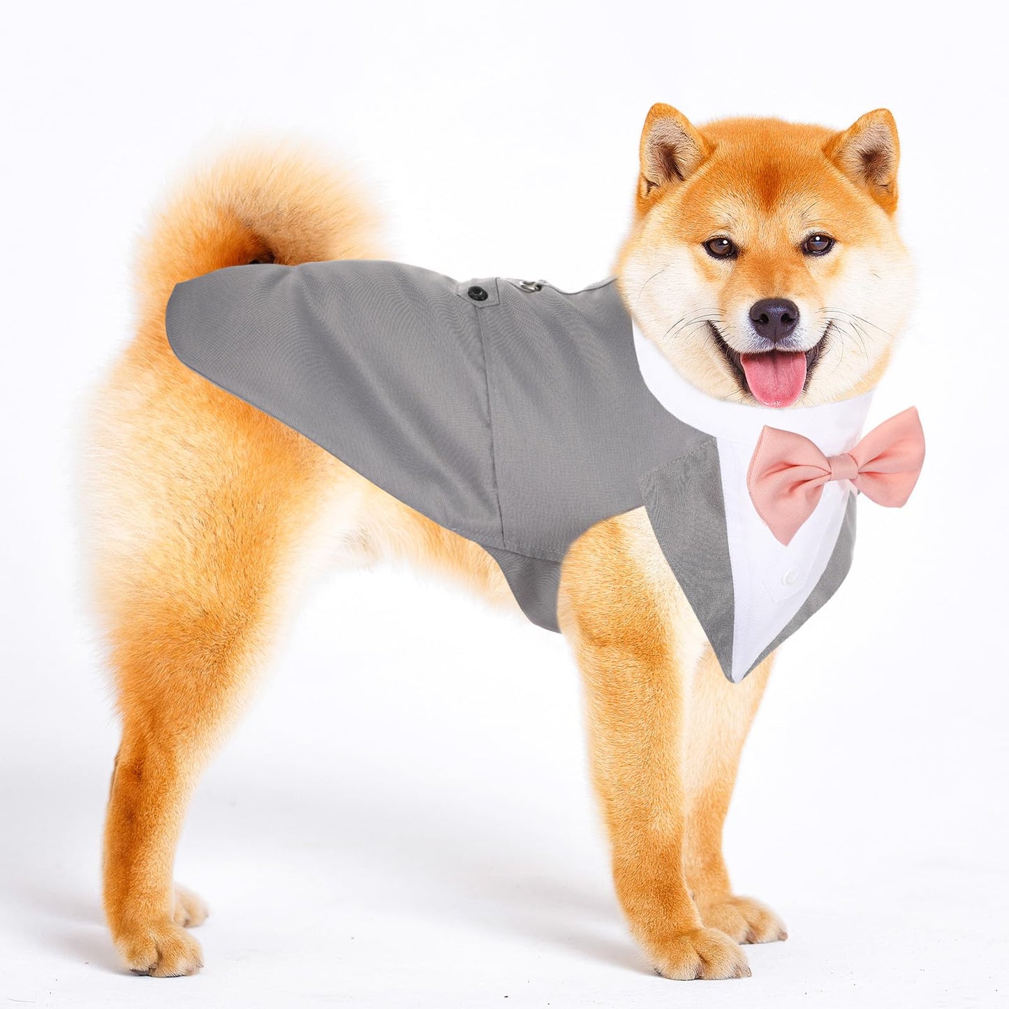 Top Quality Formal Dog Tuxedo Outfit for Weddings with Bandana