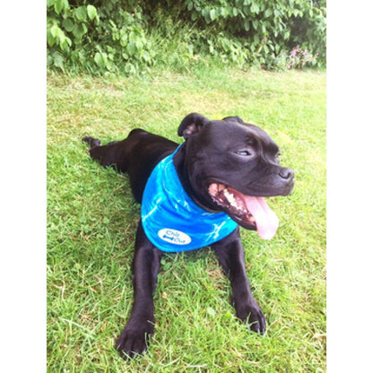 Non-Irritating and Lightweight Ice Cooling Dog Bandana for Pets