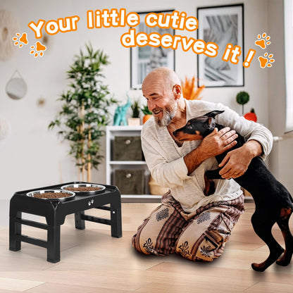 Elevated Dog Bowls with Adjustable Stand