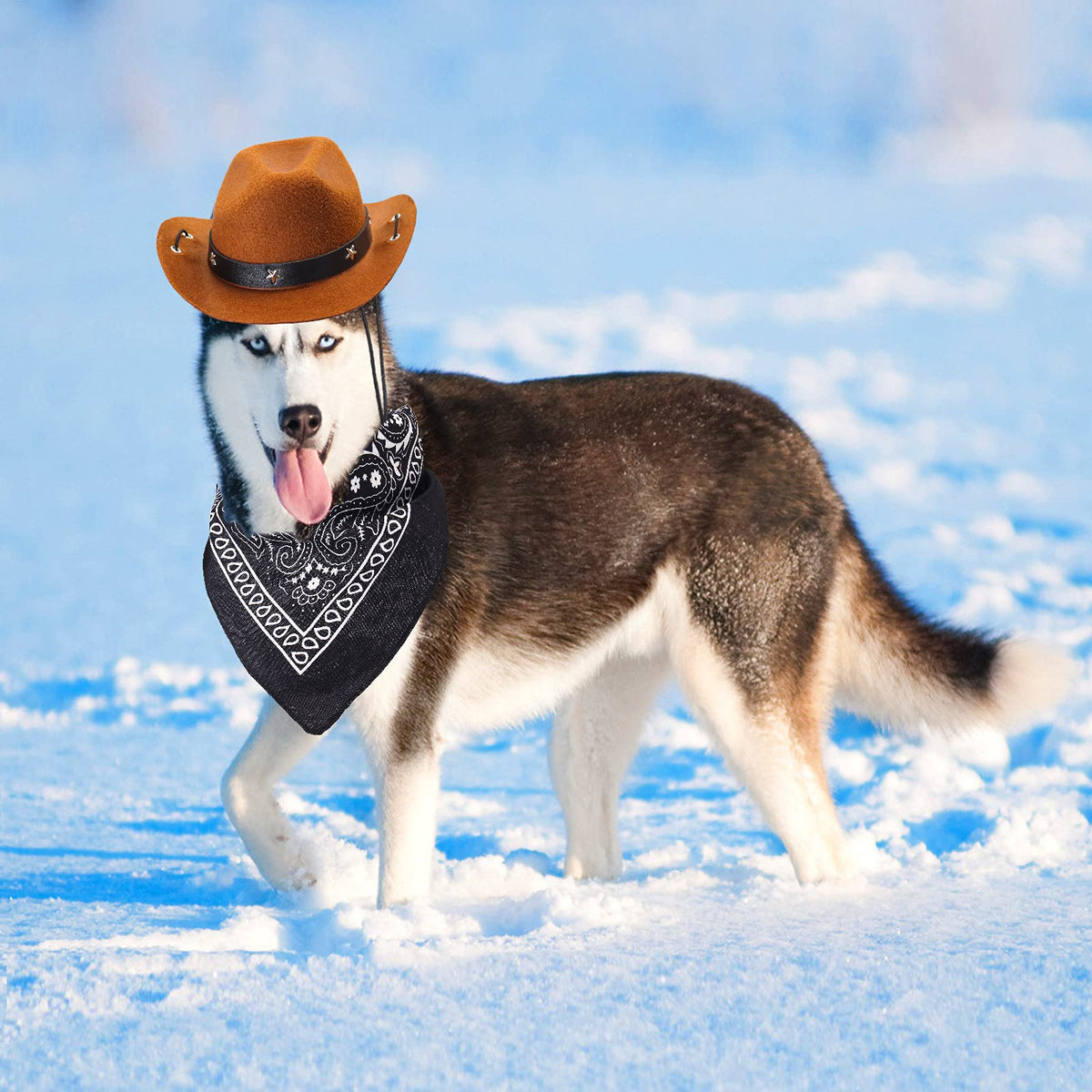 Durable and Lightweight Printed Head Bandana Cowboy Outfit for Dogs