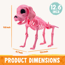JOYIN Posable Halloween Dog Skeleton – Realistic Puppy Decor, 12.6”