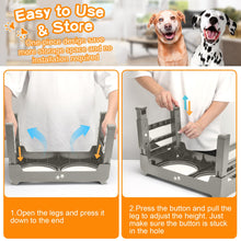 Elevated Dog Bowls with Adjustable Stand