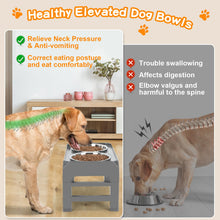 Elevated Dog Bowls with Adjustable Stand