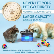 Veken Innovation Award Winner 95oz/2.8L Pet Fountain