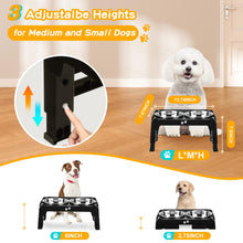 Elevated Dog Bowls with Adjustable Stand