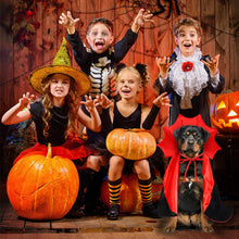 Halloween Pet Cape Costume – Vampire/Wizard/Witch Outfit