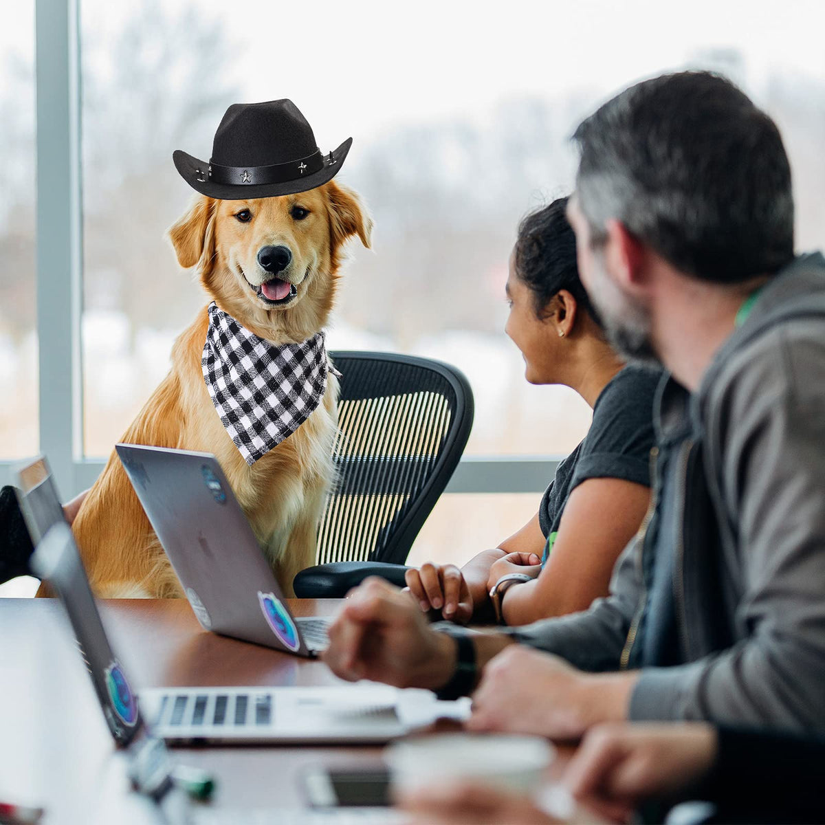 Durable and Lightweight Printed Head Bandana Cowboy Outfit for Dogs