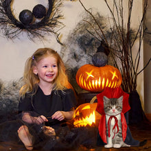 Halloween Pet Cape Costume – Vampire/Wizard/Witch Outfit