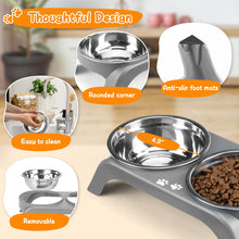 Elevated Dog Bowls with Adjustable Stand