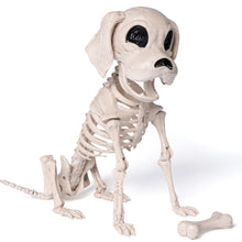 JOYIN Posable Halloween Dog Skeleton – Realistic Puppy Decor, 12.6”