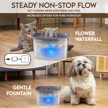 Veken Innovation Award Winner 95oz/2.8L Pet Fountain