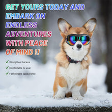 NVTED UV Wind Dust Dog Sunglasses Dog Goggles