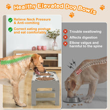 Elevated Dog Bowls with Adjustable Stand