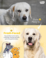 PETHROOM Professional Eye Comb for Pets