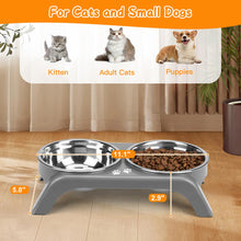 Elevated Dog Bowls with Adjustable Stand