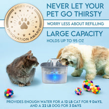 Veken Innovation Award Winner 95oz/2.8L Pet Fountain