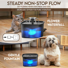 Veken Innovation Award Winner 95oz/2.8L Pet Fountain
