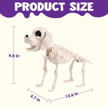 JOYIN Posable Halloween Dog Skeleton – Realistic Puppy Decor, 12.6”