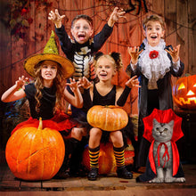 Halloween Pet Cape Costume – Vampire/Wizard/Witch Outfit