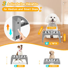 Elevated Dog Bowls with Adjustable Stand