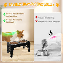 Elevated Dog Bowls with Adjustable Stand