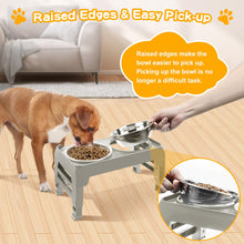 Elevated Dog Bowls with Adjustable Stand
