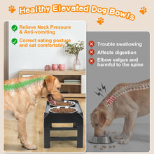 Elevated Dog Bowls with Adjustable Stand