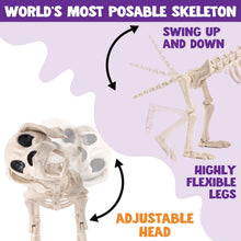 JOYIN Posable Halloween Dog Skeleton – Realistic Puppy Decor, 12.6”