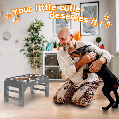 Elevated Dog Bowls with Adjustable Stand