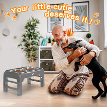Elevated Dog Bowls with Adjustable Stand