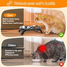 Elevated Dog Bowls with Adjustable Stand