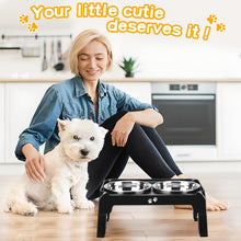 Elevated Dog Bowls with Adjustable Stand