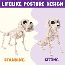JOYIN Posable Halloween Dog Skeleton – Realistic Puppy Decor, 12.6”