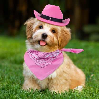 Durable and Lightweight Printed Head Bandana Cowboy Outfit for Dogs