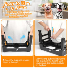 Elevated Dog Bowls with Adjustable Stand