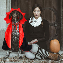 Halloween Pet Cape Costume – Vampire/Wizard/Witch Outfit