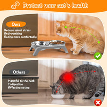 Elevated Dog Bowls with Adjustable Stand