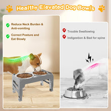 Elevated Dog Bowls with Adjustable Stand