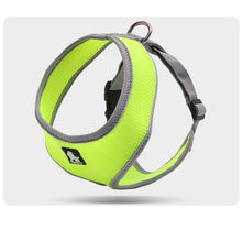 Towing rope for small dogs