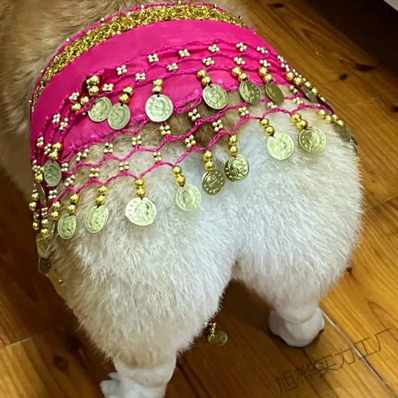 Belly Dance Fart Chain Sequined Waist Chain