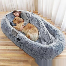 Queen Bed Pet Plush Sofa For Dog