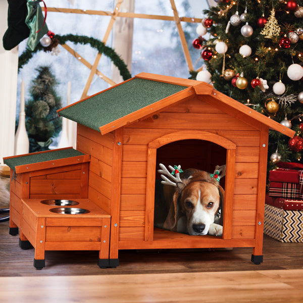 Green Asphalt Roof Golden Red Main Body Dog House